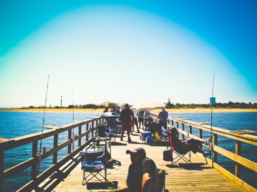 A sunny day on a fishing pier with people sitting in chairs, fishing rods set up, and umbrellas for shade.
