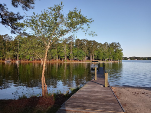 A serene lake view with a wooden dock, surrounded by lush green trees and calm water under a clear blue sky.