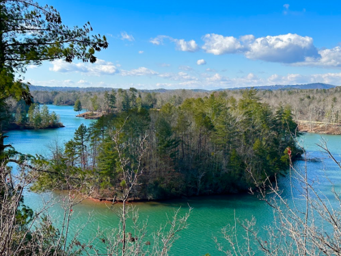 A scenic view of a lake surrounded by lush green trees and rolling hills under a bright blue sky with fluffy clouds.