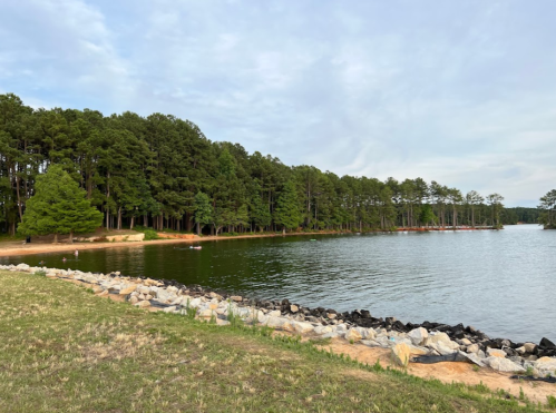 A serene lake surrounded by trees, with a rocky shoreline and a cloudy sky above.