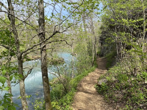 A winding dirt path alongside a river, surrounded by lush green trees and foliage under a clear blue sky.