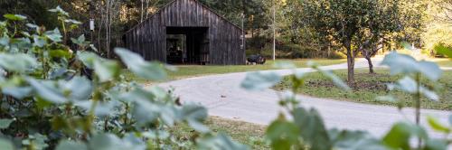 A rustic wooden barn surrounded by greenery, with a winding path leading towards it in a serene outdoor setting.