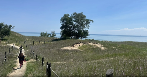 Walkers hike the Cordwalk-Boardwalk at Kohler Dunes State Natural Area in Wisconsin.