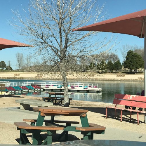 A serene lakeside scene with picnic tables, a bare tree, and colorful docks under a clear blue sky.