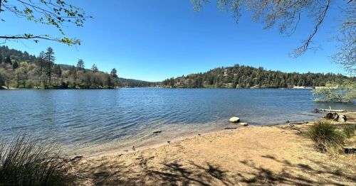Mountain lake surrounded by pine forest in Southern California