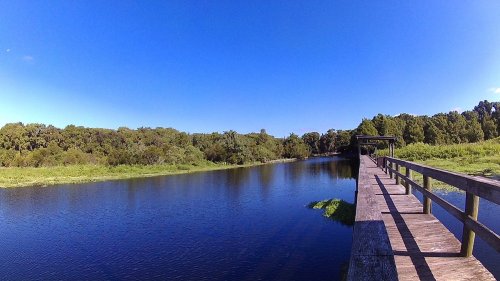 A serene view of a calm river with a wooden walkway, surrounded by lush greenery under a clear blue sky.