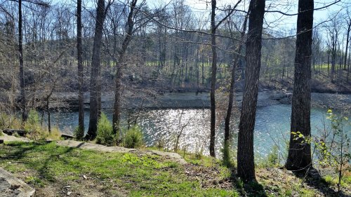 A serene lake surrounded by trees, reflecting sunlight, with grassy areas along the shore.