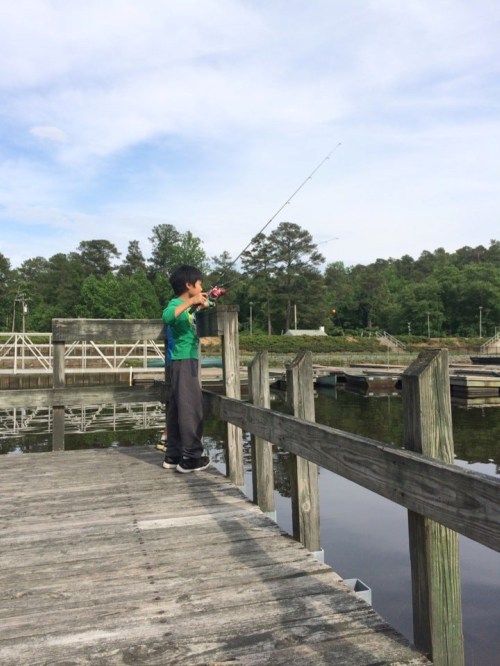 A young boy stands on a wooden dock, fishing with a rod by a calm lake surrounded by trees.