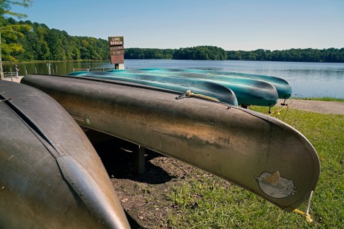 Canoes lined up on the shore of a calm lake, with trees and a sign in the background under a clear blue sky.