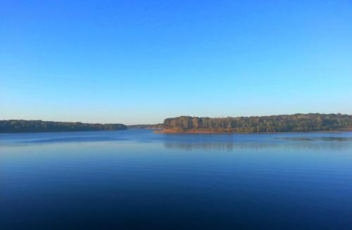 A serene lake under a clear blue sky, surrounded by lush green trees and a calm water surface.