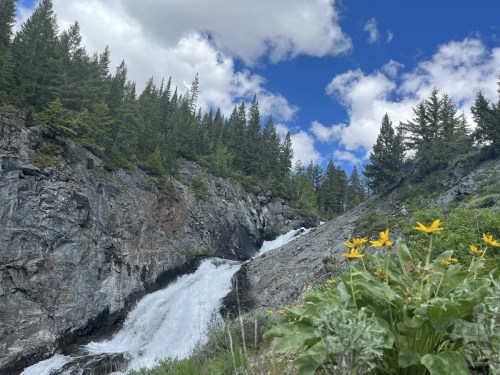 A waterfall cascades down rocky terrain, surrounded by lush greenery and wildflowers under a blue sky with clouds.