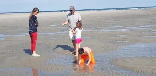 A family at the beach: two adults and two children playing in shallow water on a sandy shore.