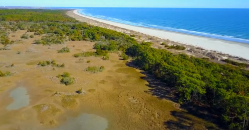 Aerial view of a coastal landscape featuring sandy beach, blue ocean, and lush green vegetation along the shore.