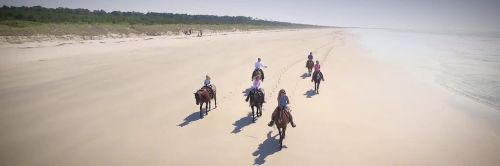 A group of people riding horses along a sandy beach with a calm ocean in the background.