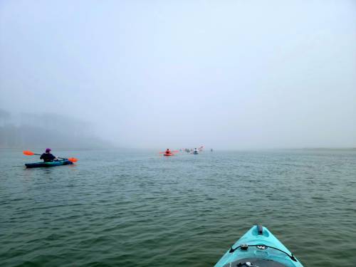 A group of kayakers paddles through a foggy waterway, with mist obscuring the landscape in the background.