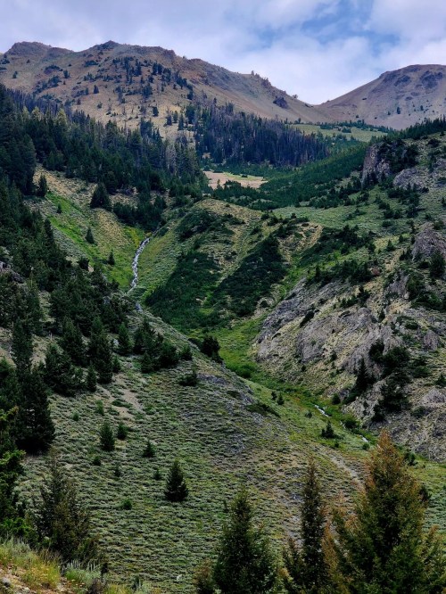 A lush green valley with a small waterfall, surrounded by mountains and trees under a cloudy sky.