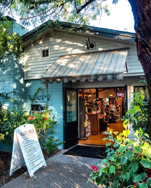A charming shop with a striped awning, surrounded by greenery, featuring an open door and a sign with store rules.