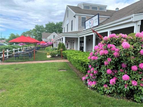 A charming restaurant exterior with vibrant pink flowers, green grass, and outdoor seating under red umbrellas.