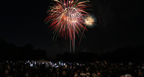 Colorful fireworks burst in the night sky above a large crowd gathered in a park, celebrating an event.