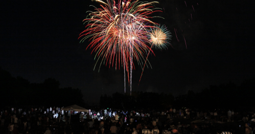 A crowd watches colorful fireworks explode in the night sky over a park.
