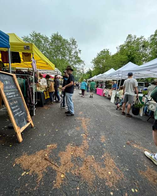 A bustling outdoor market with colorful tents, vendors, and shoppers, surrounded by trees on a cloudy day.