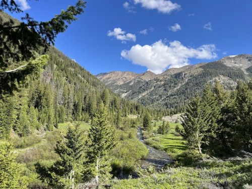 A scenic mountain landscape with lush green meadows, a winding stream, and trees under a blue sky with fluffy clouds.