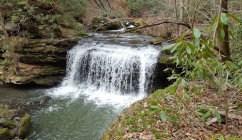 A serene waterfall cascades over rocks, surrounded by lush greenery and trees in a peaceful forest setting.