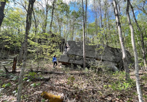 Two people explore a rocky outcrop in a lush, green forest with tall trees and clear blue skies.