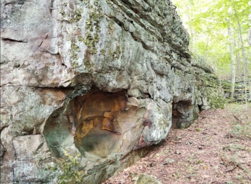 Rocky cliffside with large, rounded indentations, surrounded by greenery and forest floor.