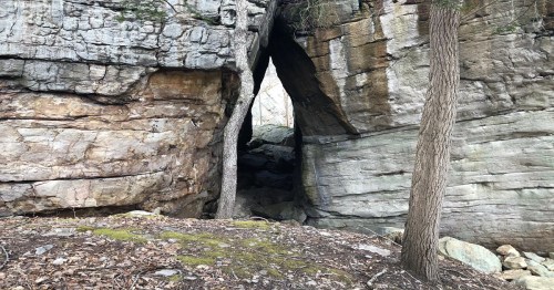 A narrow rock formation with trees on either side, leading into a shadowy crevice in the stone.