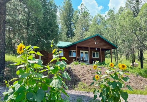 A wooden cabin surrounded by tall trees and sunflowers under a bright blue sky.