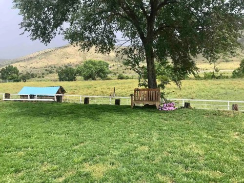 A grassy area with a wooden bench under a tree, overlooking a scenic landscape with hills and a small shelter.