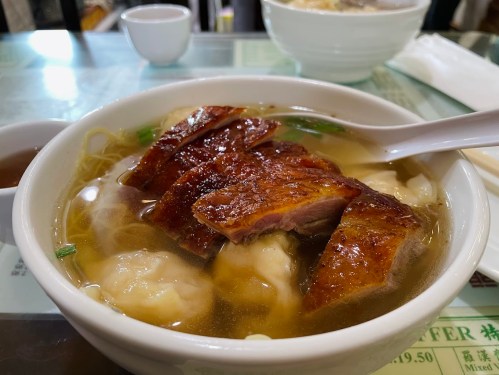 A bowl of noodle soup with sliced roasted duck and dumplings, garnished with green onions.