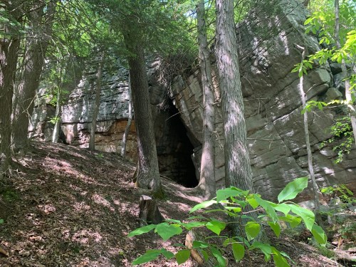 A rocky cave entrance surrounded by tall trees and lush greenery in a forested area.