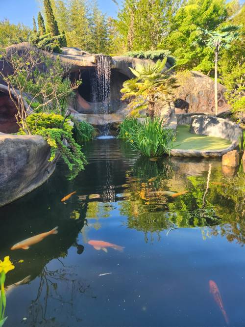 A serene pond with koi fish, surrounded by lush greenery and a small waterfall cascading over rocks.