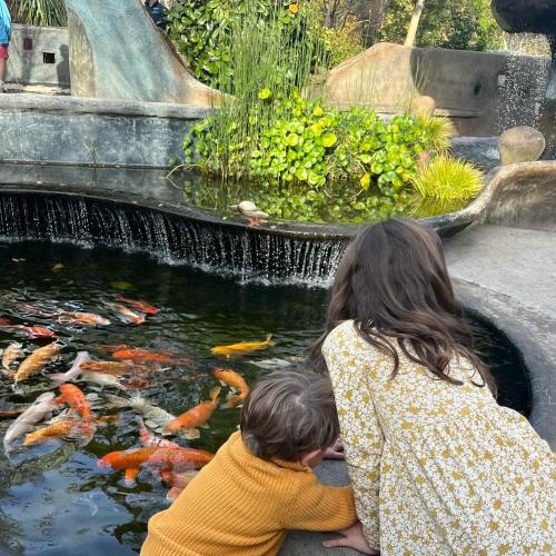 Two children lean over a pond, watching colorful koi fish swim in a serene outdoor setting.