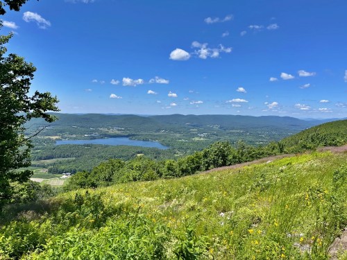 A panoramic view of rolling green hills, a lake, and a bright blue sky with fluffy clouds. Wildflowers in the foreground.