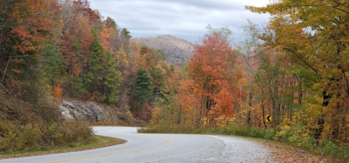 A winding road through vibrant autumn trees with colorful foliage and a cloudy sky in the background.