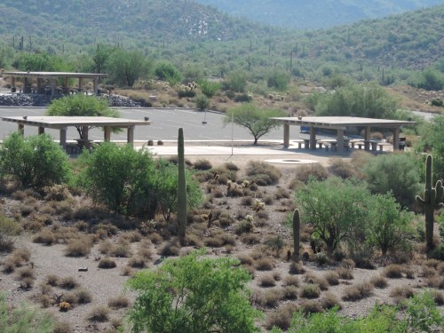 Desert landscape with picnic areas, cacti, and sparse vegetation under a clear blue sky.