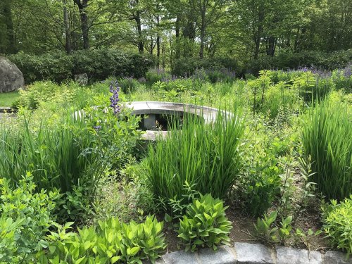 A circular stone feature surrounded by lush green plants and wildflowers in a vibrant garden setting.