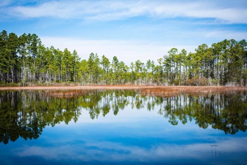 A serene lake reflecting a blue sky and lush green trees along the shore, with hints of brown vegetation.
