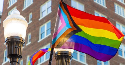 An LGBTQIA+ flag waving against a streetlight.