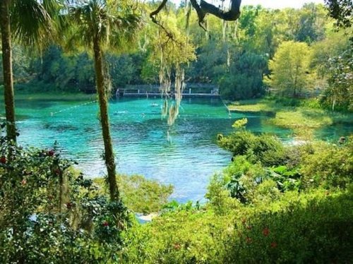 A serene lake surrounded by lush greenery and trees, with clear turquoise water reflecting the landscape.