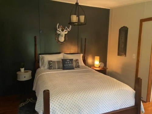 Cozy bedroom with a dark green wall, a bed with white bedding, a decorative deer head, and a bedside lamp.
