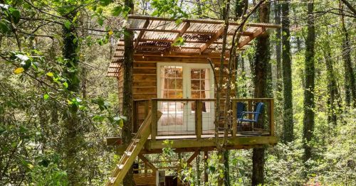 A cozy treehouse nestled among trees, featuring a wooden deck and large windows, surrounded by lush greenery.