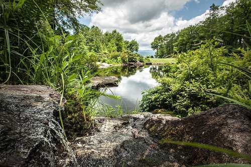 A serene pond surrounded by lush greenery and rocks, under a partly cloudy sky.