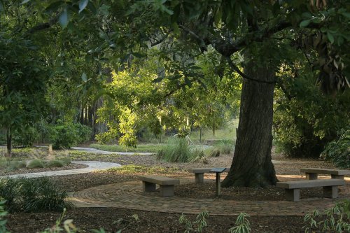 A serene park scene featuring a large tree, winding paths, and stone benches surrounded by lush greenery.