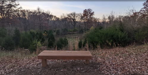 A wooden bench in a natural setting, surrounded by trees and shrubs, with a serene landscape in the background.