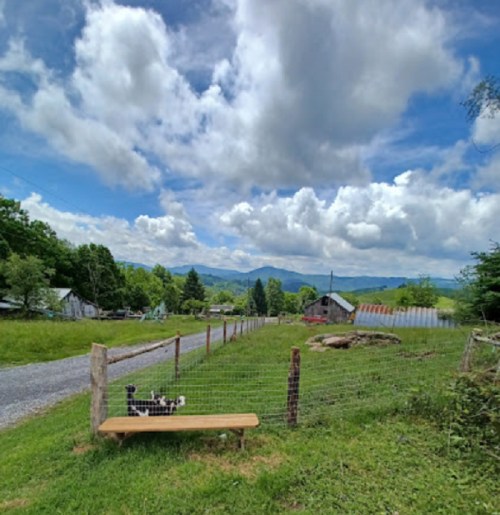 A scenic view of a rural landscape with a bench, a cat resting, and mountains under a cloudy sky.