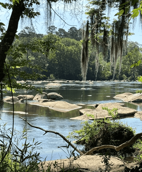 A serene river scene with large rocks, lush greenery, and hanging moss under a clear blue sky.